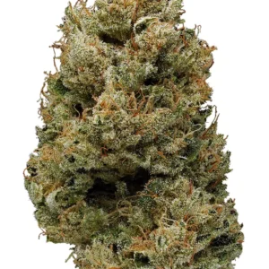 Buy Banana Kush Online in the US
