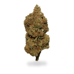 Buy White Rhino Strain Online US